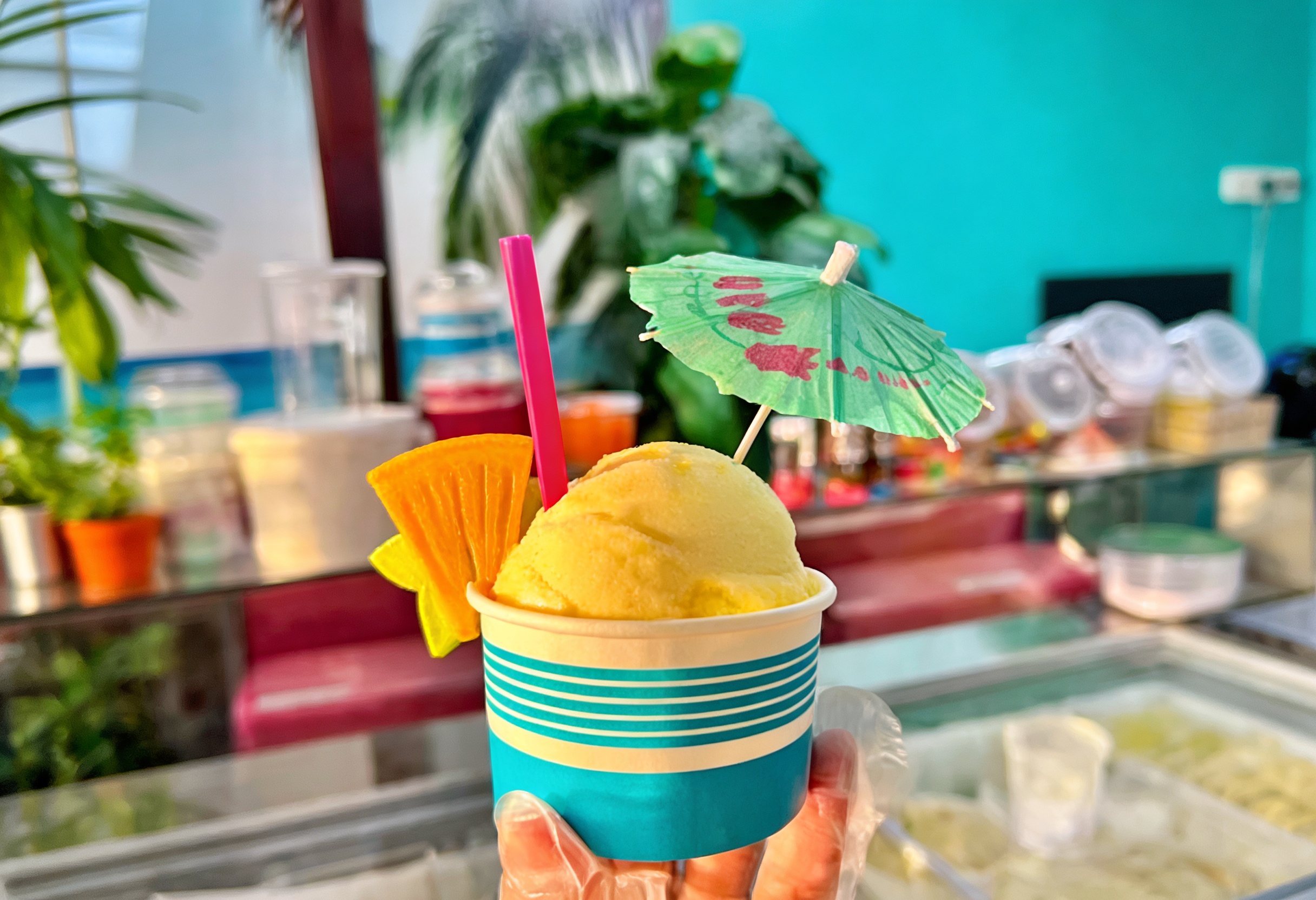 1 scoop cup
